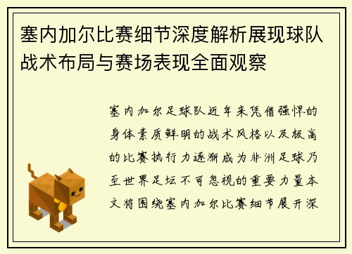 塞内加尔比赛细节深度解析展现球队战术布局与赛场表现全面观察