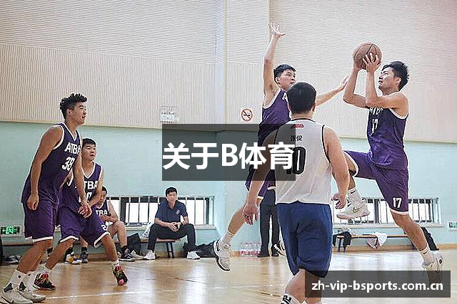 关于B体育